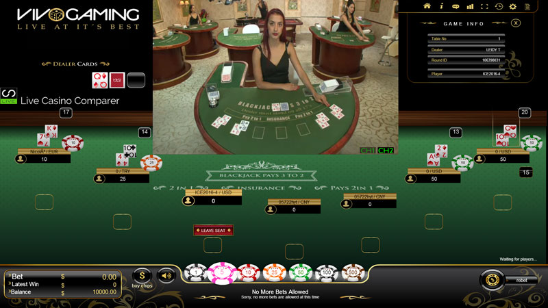 vivo gaming live blackjack